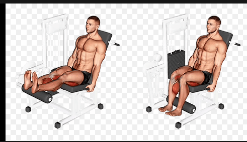 Capture d’écran 2023-10-04 à 10.52.32