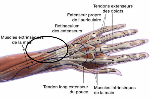 image_2023-11-15_160020018
