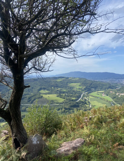 FB81246C-5011-49A8-85D4-CA3B4790D505